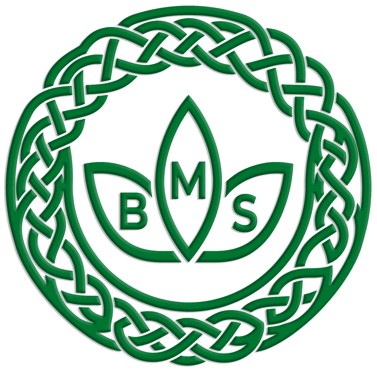 BMStherapy.ie
